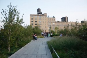 highline factory