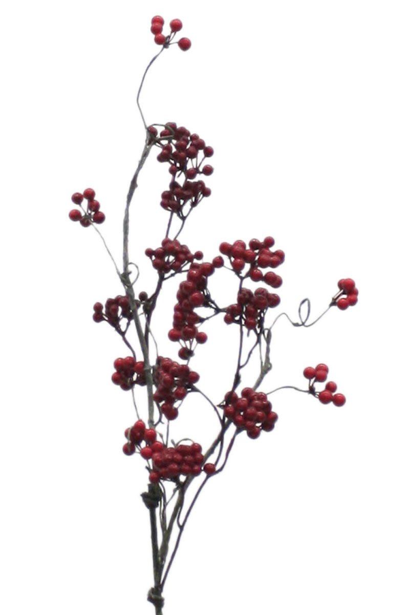 berry branch